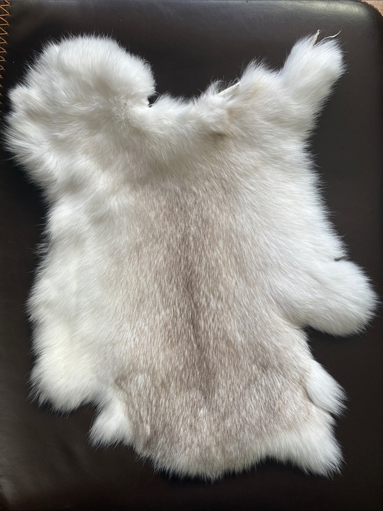Other - B0030 rabbit pelt decor crafts